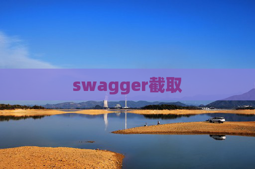 swagger截取